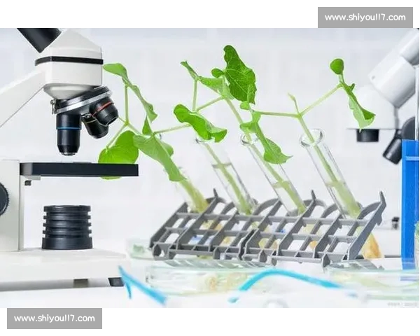 揭开体育数据分析常见误区与偏差来源及科学解读方法探索实践路径